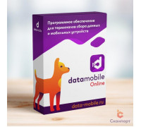 Подписка на обновления DataMobile для версий LifeTime (Online, на 12 месяцев, арт. DMOnlineUpd)