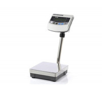 Весы напольные CAS BW-150RB