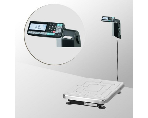 Весы напольные с печатью этикеток Масса-К TB-S-200.2-RL1