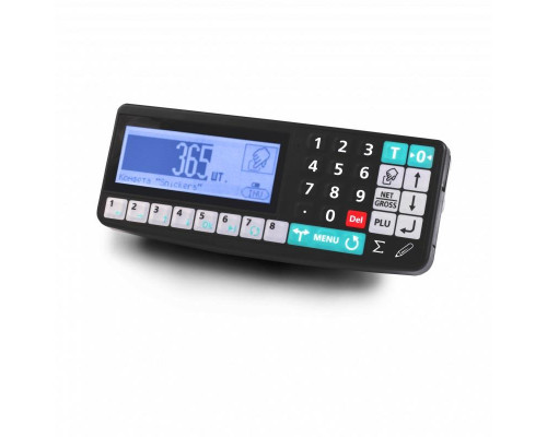Весы напольные Масса-К TB-5040N-200.2-RA3n